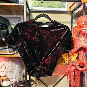 90's Crushed Velvet Crop